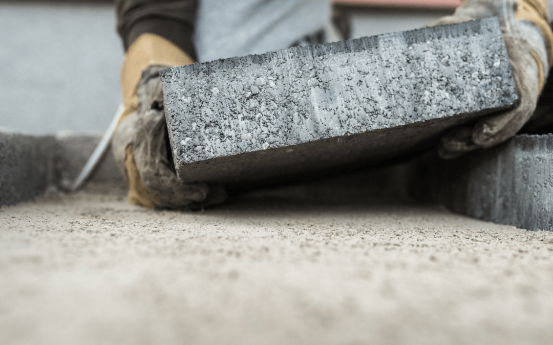 The Newbie, The Expert, The Learner