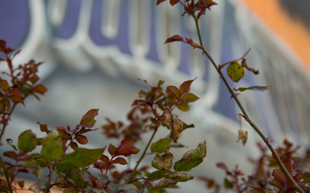 3 Characteristics Of Smart Charity